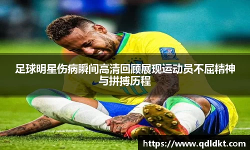 星空·综合体育官网