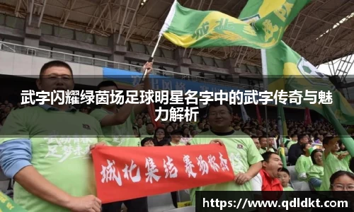 武字闪耀绿茵场足球明星名字中的武字传奇与魅力解析